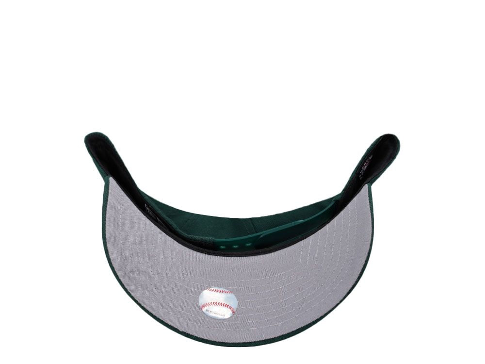 SnapBack-ירוק פרחוני🍀