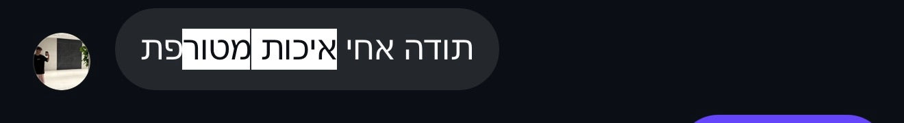 ביקורת לקוח 13
