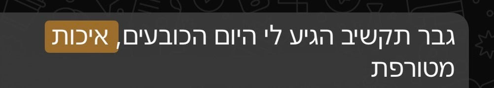 ביקורת לקוח 15