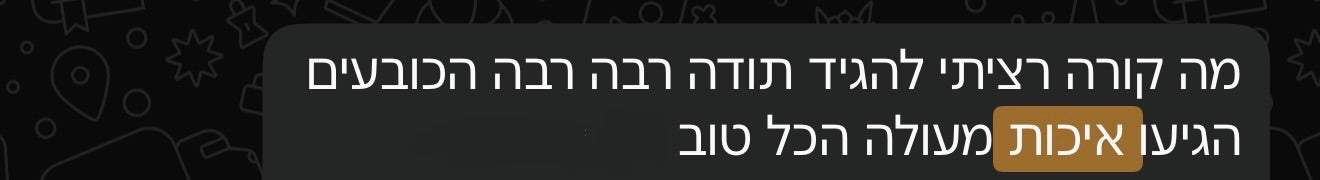 ביקורת לקוח 20