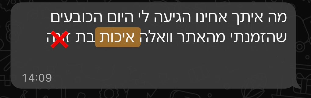 ביקורת לקוח 23
