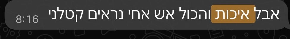 ביקורת לקוח 26